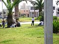 DSC00731