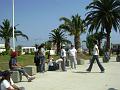 DSC00881