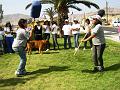 DSC00904