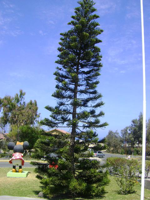 DSC04355.JPG