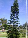 DSC04355
